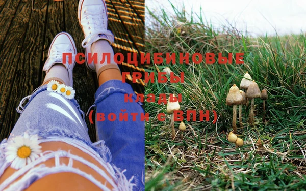 mdma Богданович