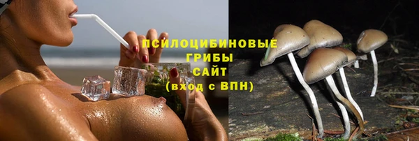 прущие крисы Богородск