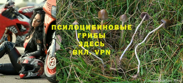 кокаин Богородицк