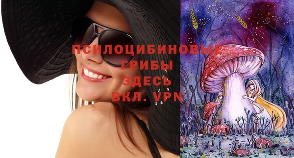 мдма Белокуриха