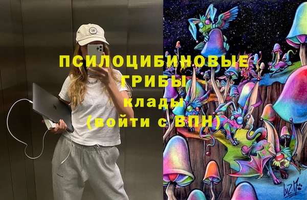 прущие крисы Богородск