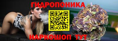 Альфа ПВП Волгодонск