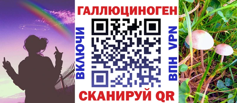 как найти   Горячий Ключ  Галлюциногенные грибы Psilocybine cubensis 