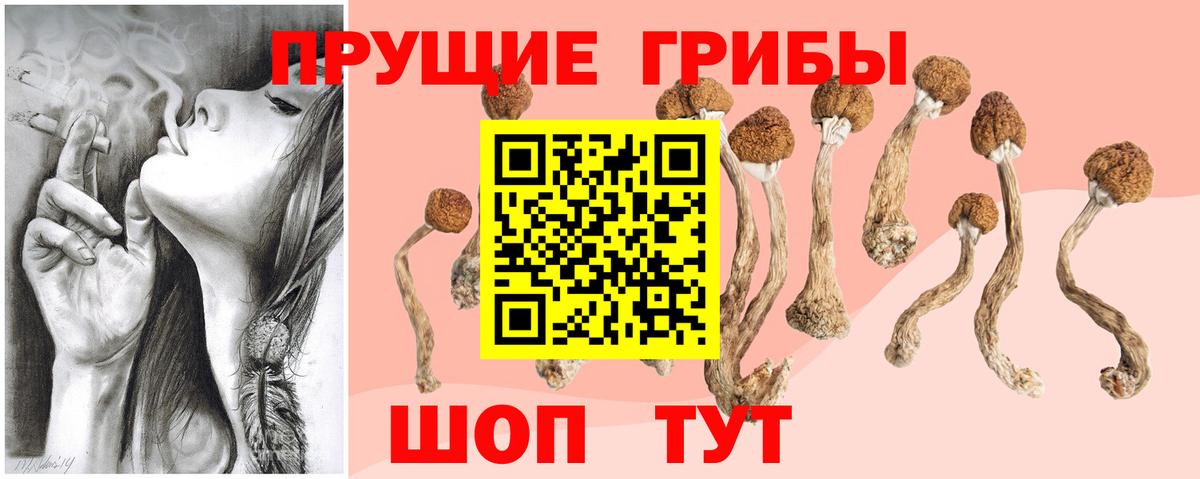 Псилоцибиновые грибы GOLDEN TEACHER  Псилоцибиновые грибы ЛСД  Горячий Ключ  Вход с VPN 