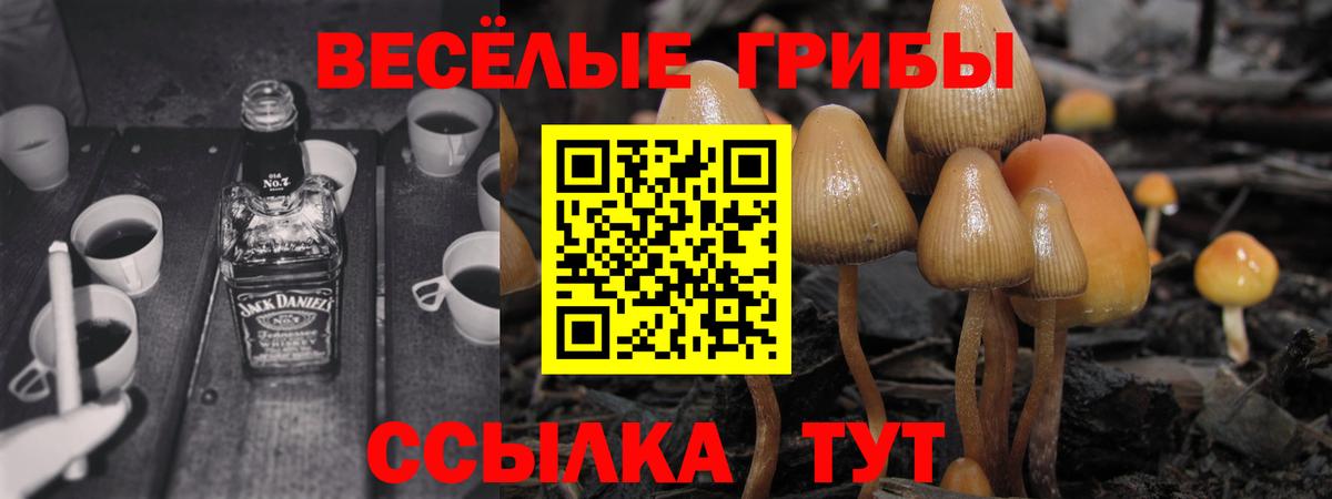 Псилоцибиновые грибы MAGIC MUSHROOMS Горячий Ключ